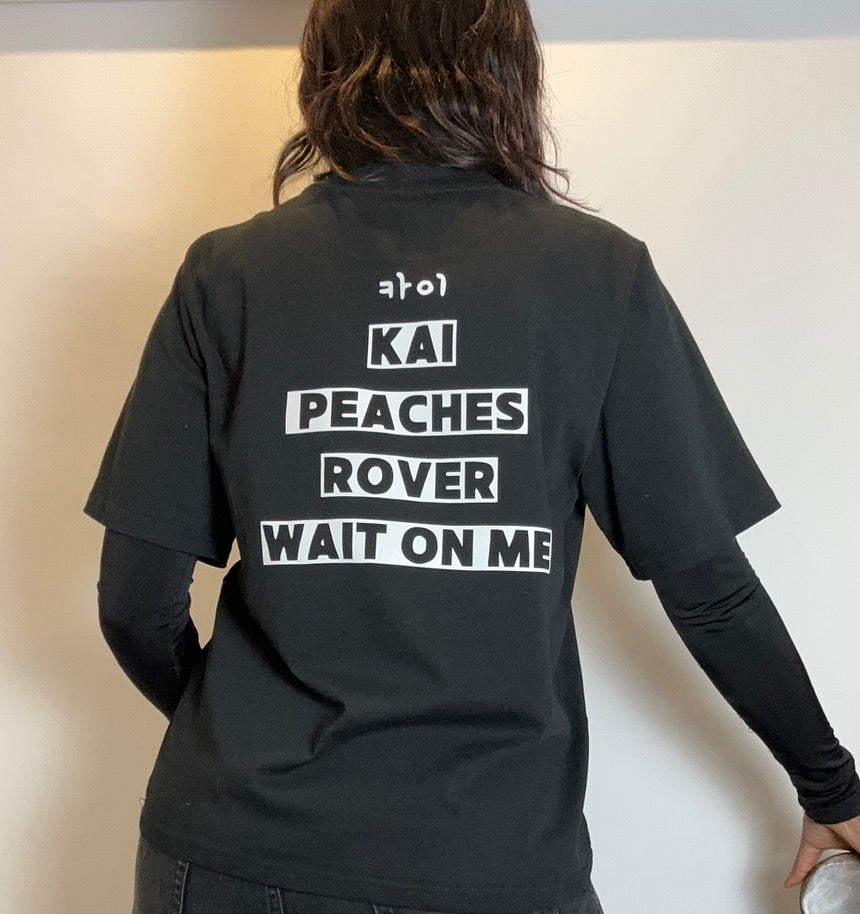 kai albums, kpop, vegan heavyweight cotton t-shirt